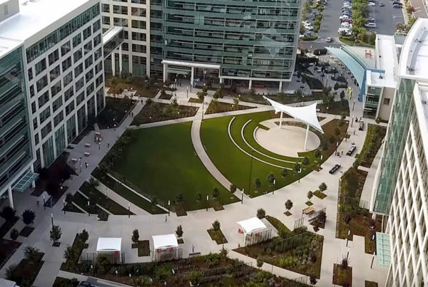 Courtyard Tension Structures-Palo Alto Network