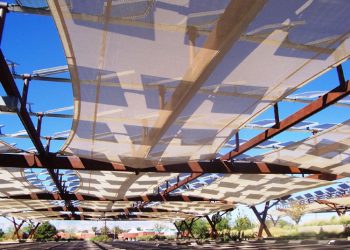 Using a Tensioned Membrane Structure to Optimize Your Solar Panels